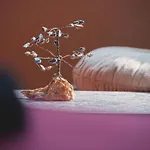 Сasa de vacaciones House Tsimerman 4 Bedroom Private House Free Parking Private Garden Varna