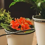 House Tsimerman 4 Bedroom Private House Free Parking Private Garden