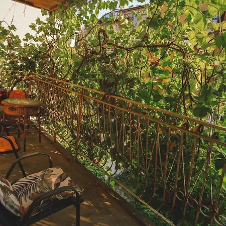 Дом отдыха House Tsimerman 4 Bedroom Private House Free Parking Private Garden Варна